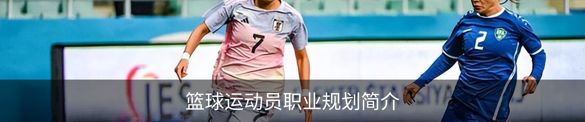 篮球运动员职业规划简介